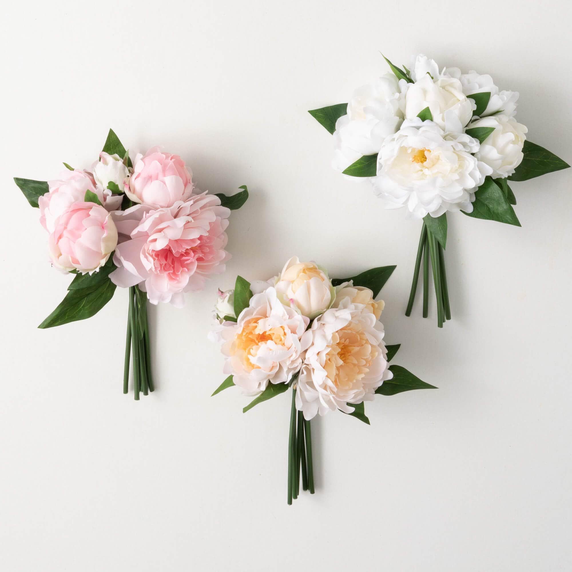 Peony Bush